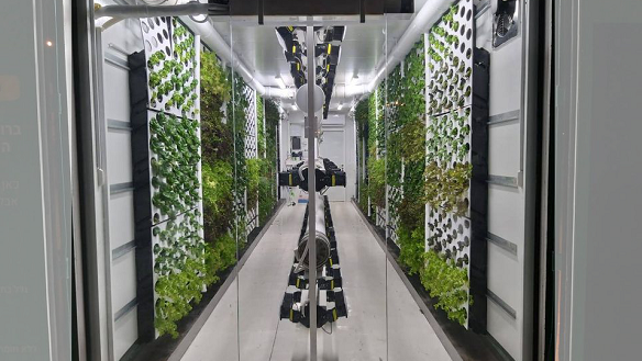 חווה של ורטיקל פילד