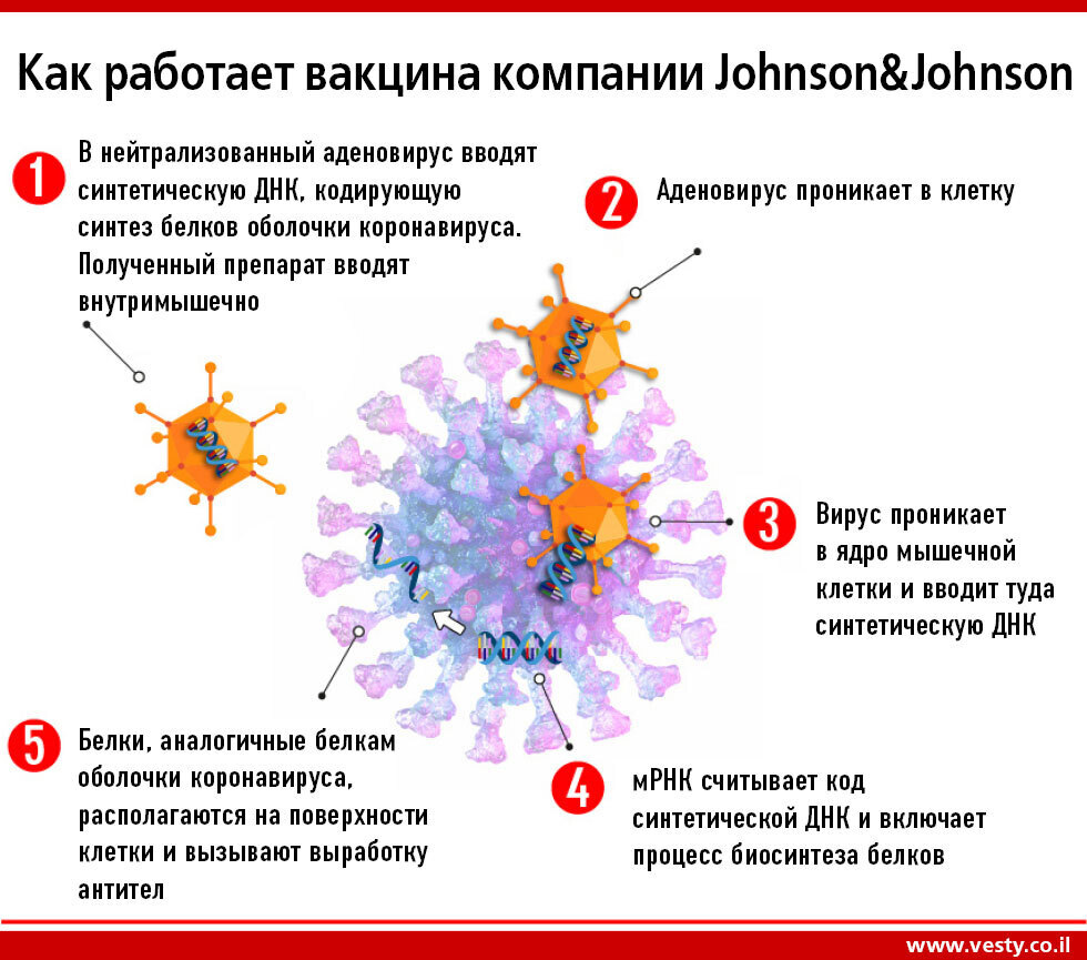 Вакцина компании Johnson&Johnson