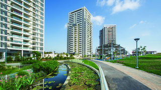 קריניצי החדשה