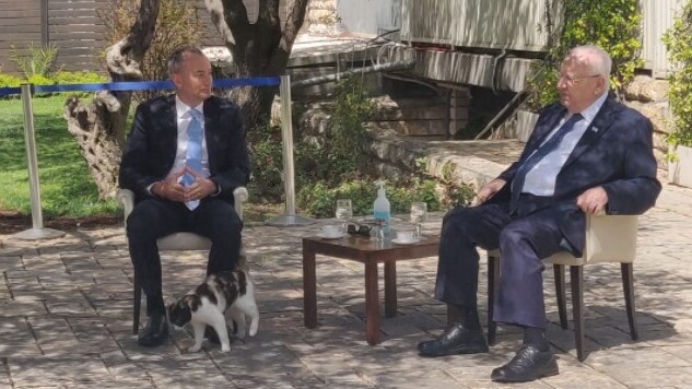 החתולה עם הנשיא ריבלין ושליח האו"ם מלדנוב