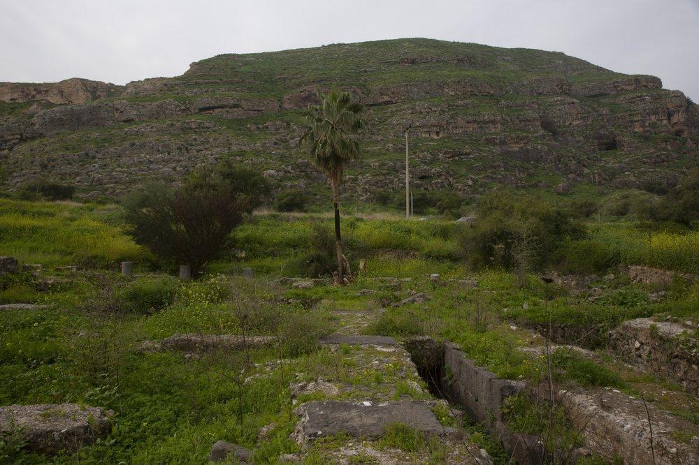 At the foot of Mount Bernice, stones from the Al-Juma (Friday) Mosque are visible through overgrown plants, in Tiberias 