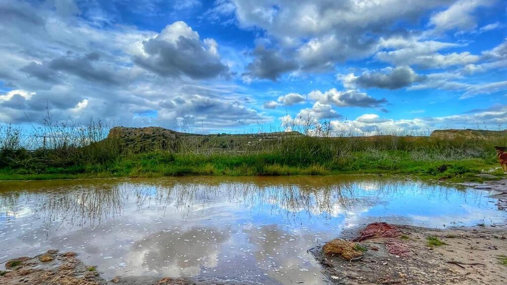 חורף הר הכרמל