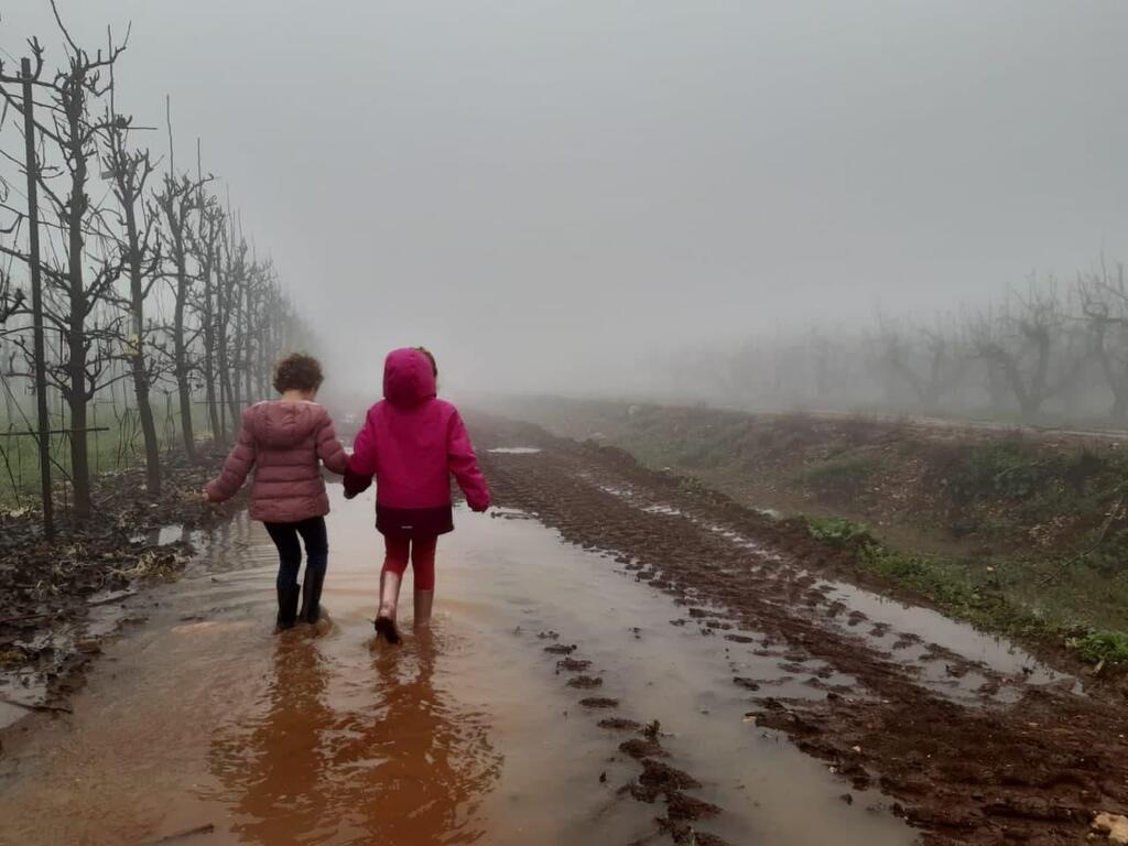 מטעי קיבוץ יפתח