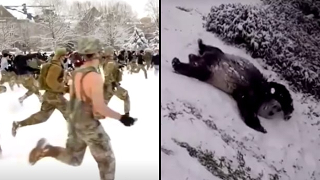 ארה"ב סופה צפון מזרח שלג פנדה מלחמת שלג חצי חצי