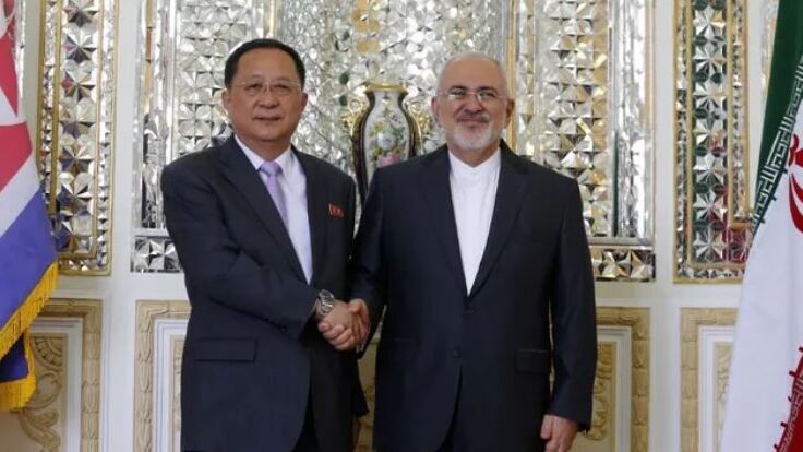 Iran's Foreign Minister Mohammad Javad Zarif (R) shakes hands with North Korea's Foreign Minister Ri Yong Ho during their meeting in the capital Tehran 