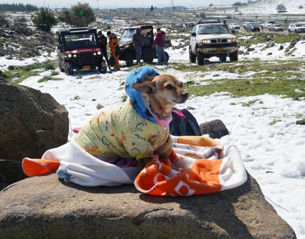 שלג בהר חוזק שברמת הגולן