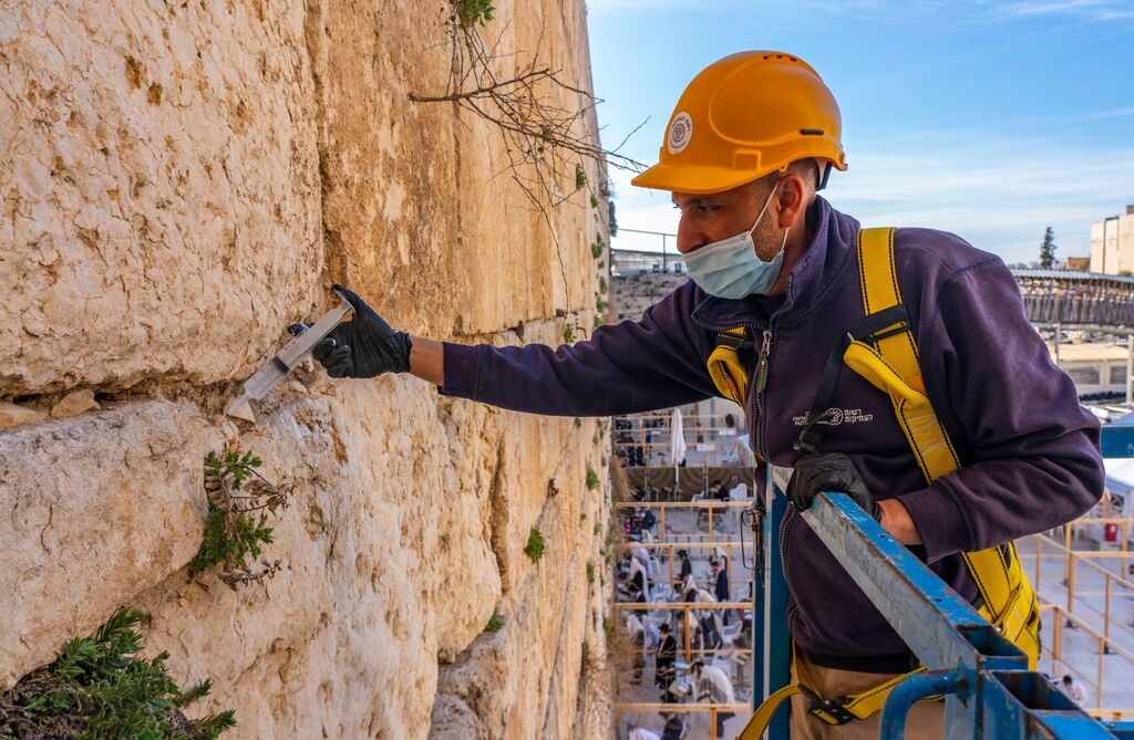 בכותל המערבי בירושלים - דואגים לבריאות הכותל