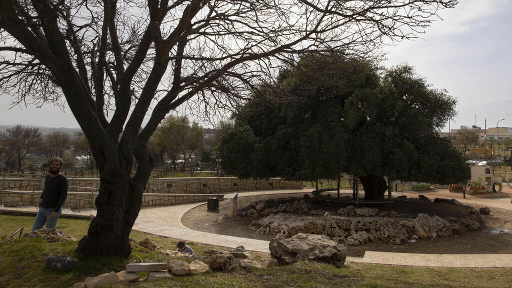 Settler walks near a small promenade built by the Jewish National Fund near the West Bank settlement of Alon Shvut 