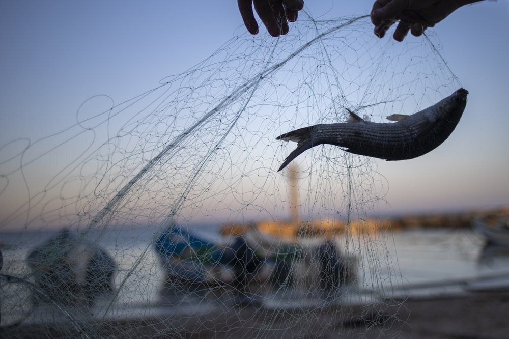 Fishermen remove fish from nets after returning from a fishing trip on the Mediterranean Sea, in the Israeli Arab village of Jisr al-Zarqa 