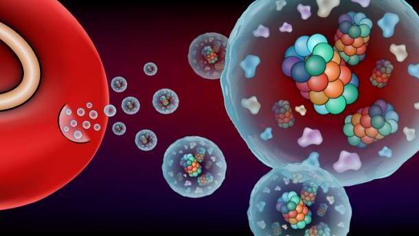 הדמיה של טפיל מלריה דמוי טבעת אשר חי בתוך תא דם אדום ומפריש בועיות הנושאות את הפרוטאזום S20 (מבנים צבעוניים דמויי חבית)