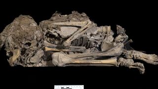 שלד ילד או ילדה, בן 6,000 שנה, שנקבר כשהוא עטוף בבד