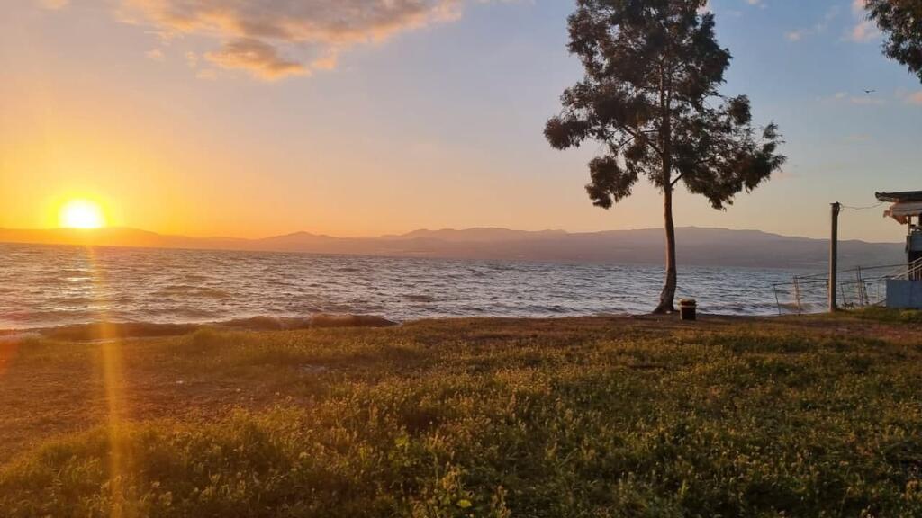 שקיעה בחוף צאלון