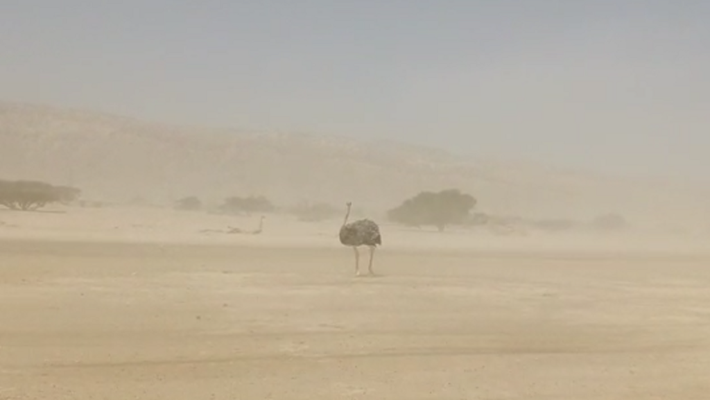 שרב כבד ויובש ברחבי הארץ