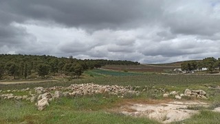 מזג אוויר חורפי ביער יתיר