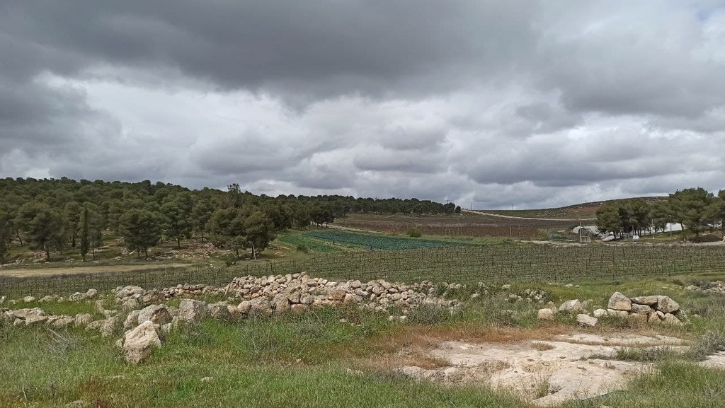 מזג אוויר חורפי ביער יתיר