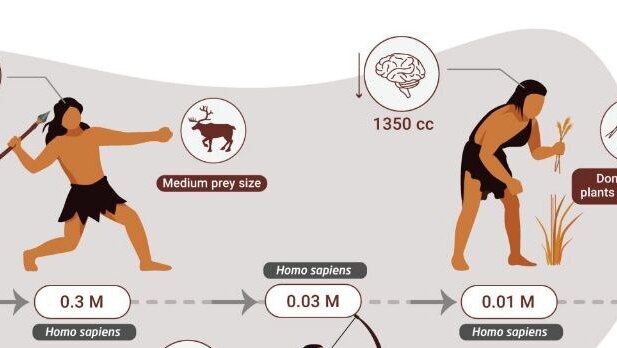 מה אכלו בכל תקופה?