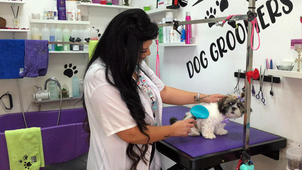 Jeje Jouly Touk, a hairdresser who was forced to switch to a dog groomer due to coronavirus disease 