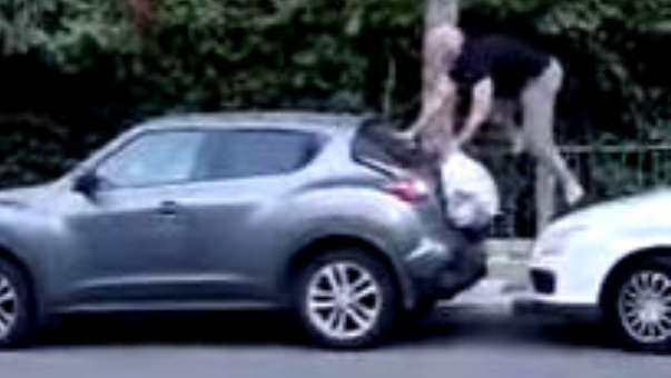 Житель Хайфы залез на крышу авто, спасаясь от кабана