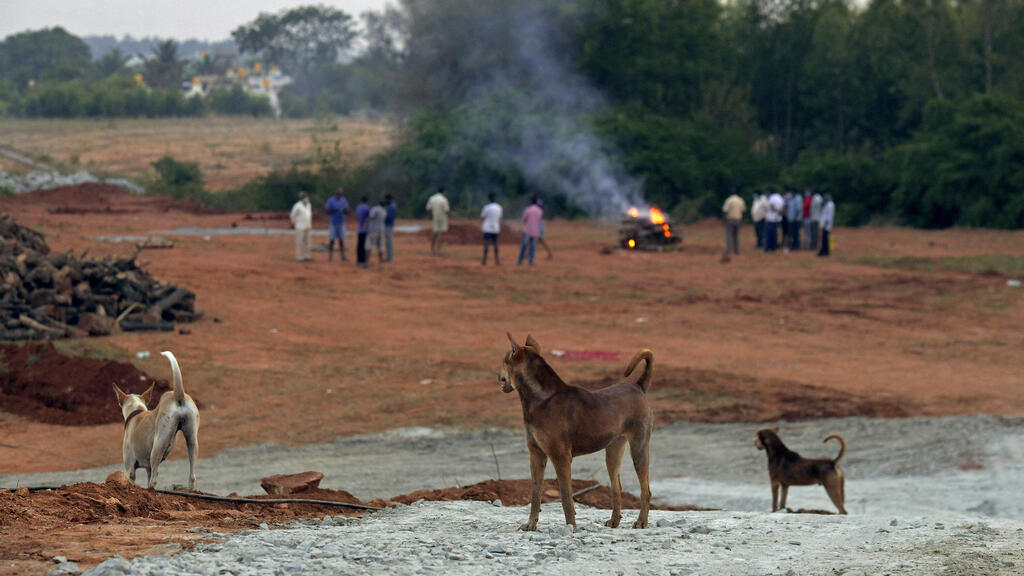 הודו משבר אסון קורונה שריפת גופות בנגלור