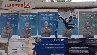 "התמונה נתלשה ממספר לוחות מודעות בעיר"