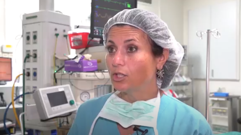 ד"ר ריטה ארליך 