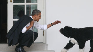 בו כלב של בני הזוג ברק ו מישל אובמה שמת תמונות ארכיון 2012