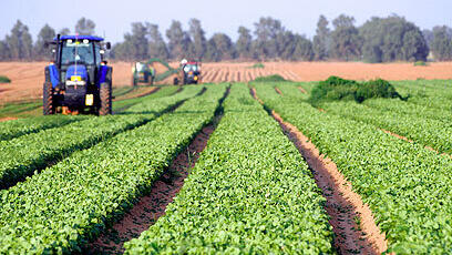 Farming in southern Israel 