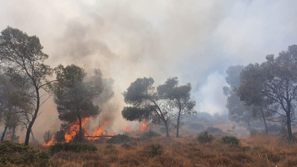 Пожар возле деревни Салем (Фото: Служба пожарной охраны) שריפה בסמוך לכפר סאלם