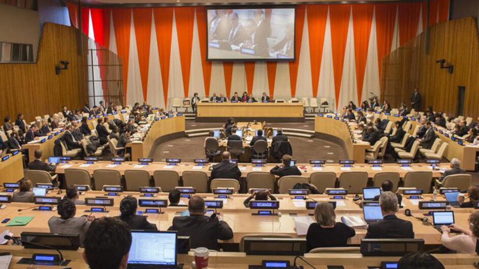 the United Nations Economic and Social Council 