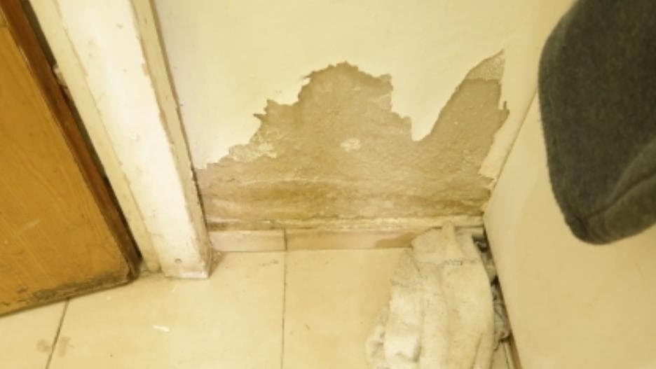 הדירה של ברוך שאול