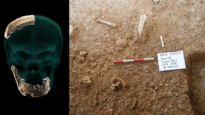 Left: Fossil remains of skull and jaw found at Nesher Ramla; the dig site at Nesher Ramle 