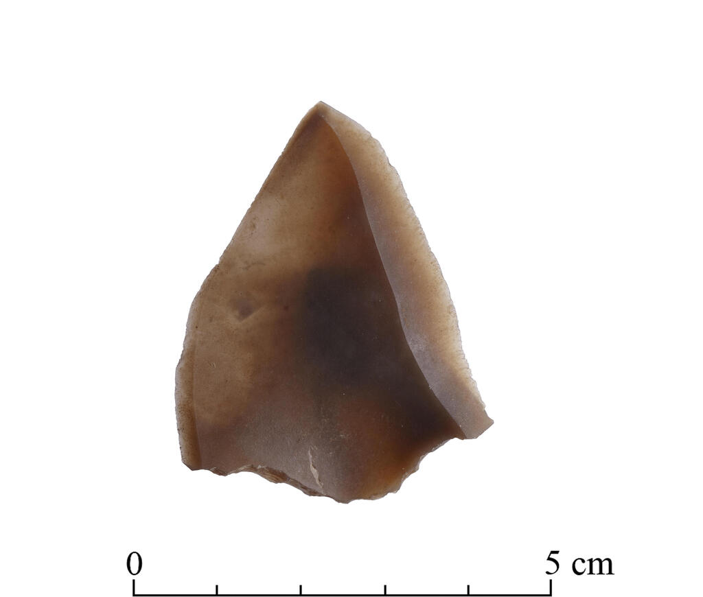 Levallois point stone tool discovered in the Nesher Ramla, Israel human ancestor excavation site in Israel