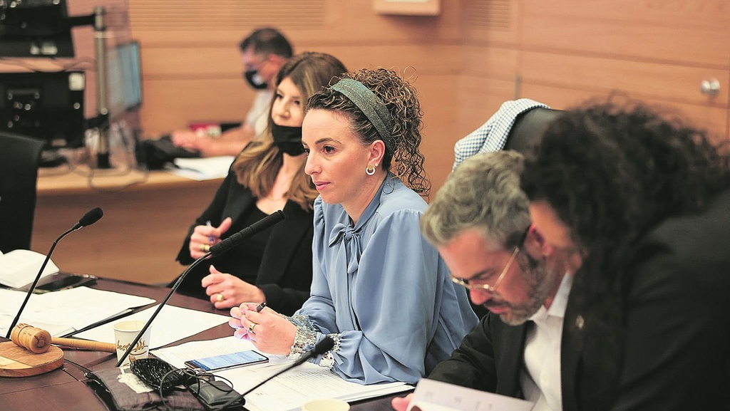 עידית סילמן בועדה המסדרת של הכנסת