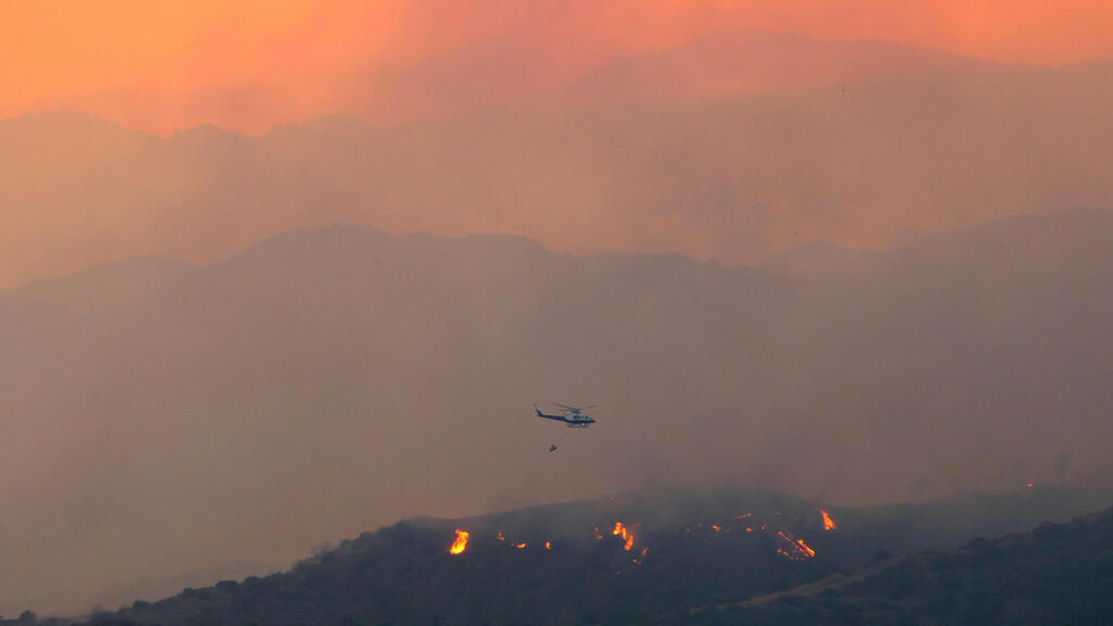 שריפה שריפת יער ב קפריסין