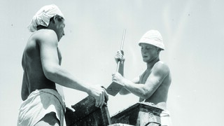 עבודה עברית בימי ראשית המדינה. האם זה צפוי לחזור?