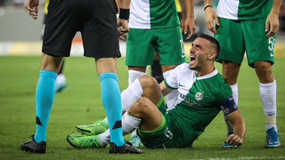 נטע לביא נפצע