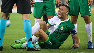 נטע לביא נפצע