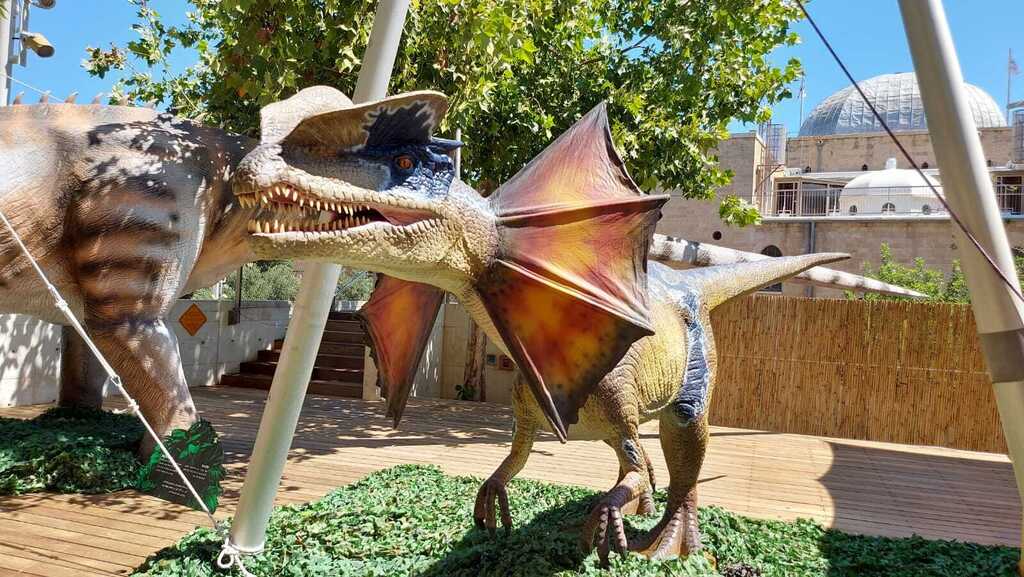 Выставка динозавров в "Мадатеке" (Фото: Анастасия Тадсон) Выставка динозавров в "Мадатеке"