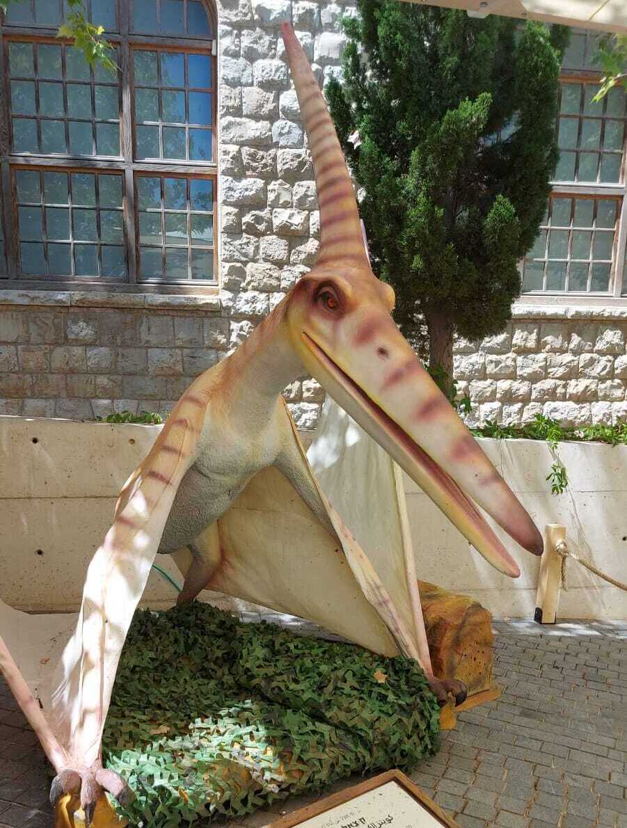 Кетцалькоатль - один из крупнейших известных представителей отряда птерозавров (Фото: Анастасия Тадсон) Выставка динозавров в "Мадатеке"