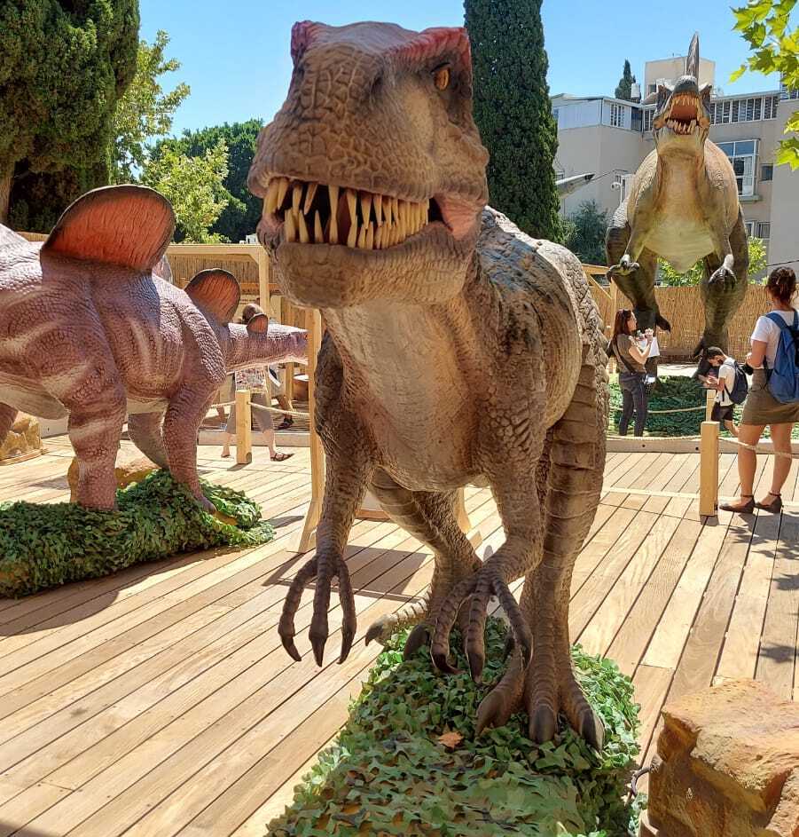 Выставка динозавров в "Мадатеке" (Фото: Анастасия Тадсон) Выставка динозавров в "Мадатеке"