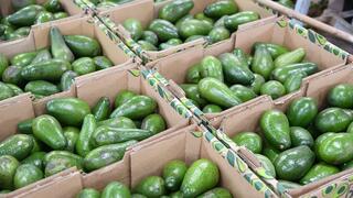 ארגזי אבוקדו