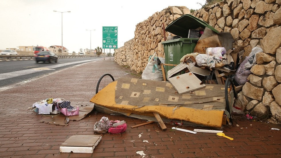 Развороченный кабанами пункт сбора мусора в Хайфе 