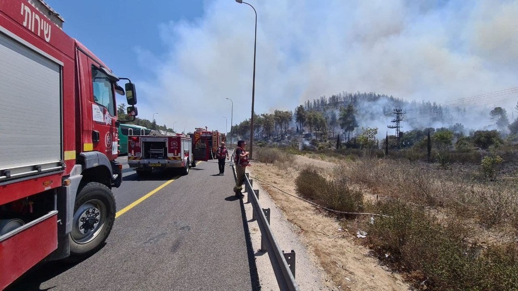 שריפה בשורש