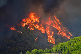 יוון שריפות שריפה אש ליד הכפר פלטנוס ליד העיר העתיקה אולימפיה