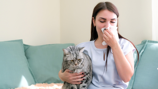 אלרגיה לחתול