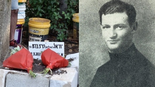 גברו הטרי של יחיאל שיינבוים, שנהרג בשנת 1943 בגטו וילנא