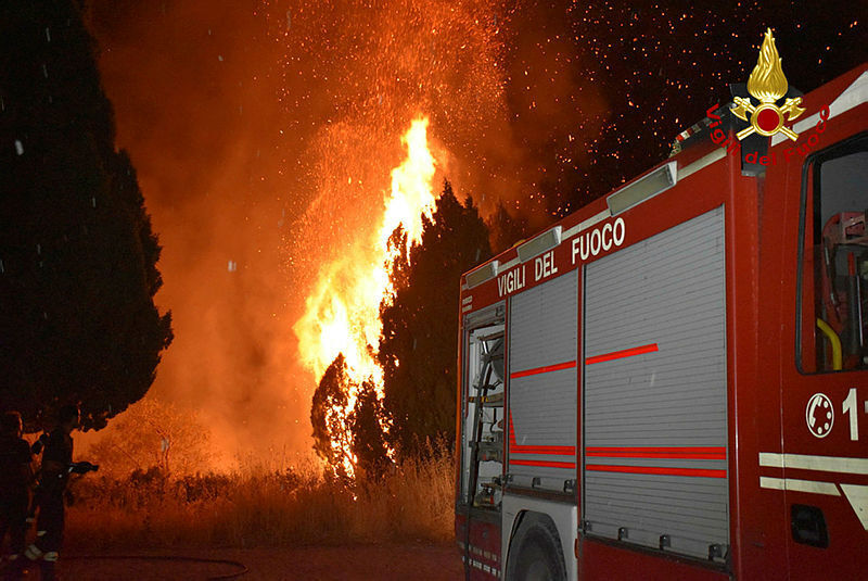 שריפה שריפות יער ליד פלרמו סיציליה איטליה