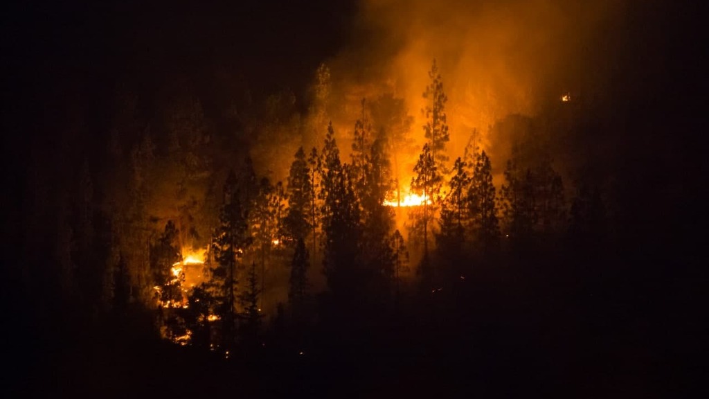 Wildfire rages in Jerusalem area woods on Monday evening (Photo: Alex Kolomoisky) שריפה בהרי ירושלים