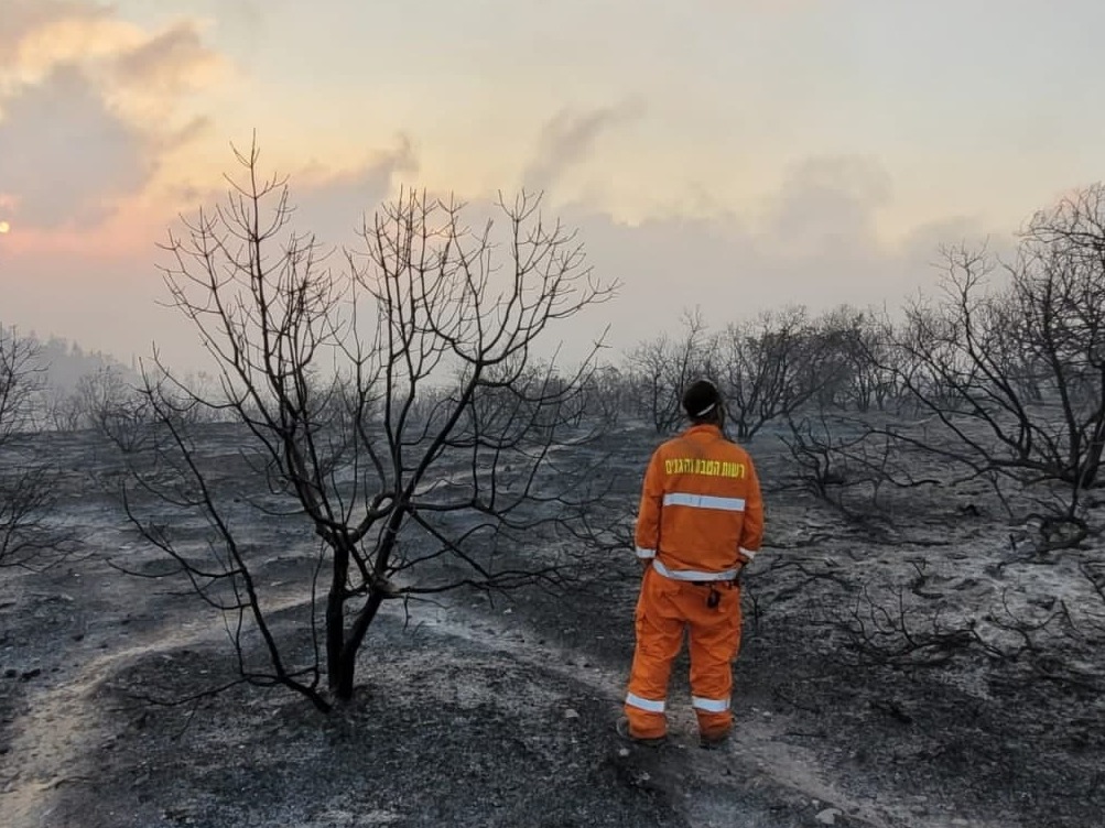 Damage caused by the massive wildfire near Jerusalem (Photo: Israel Nature and Parks Authority) נזקי השריפה בהר הטייסים