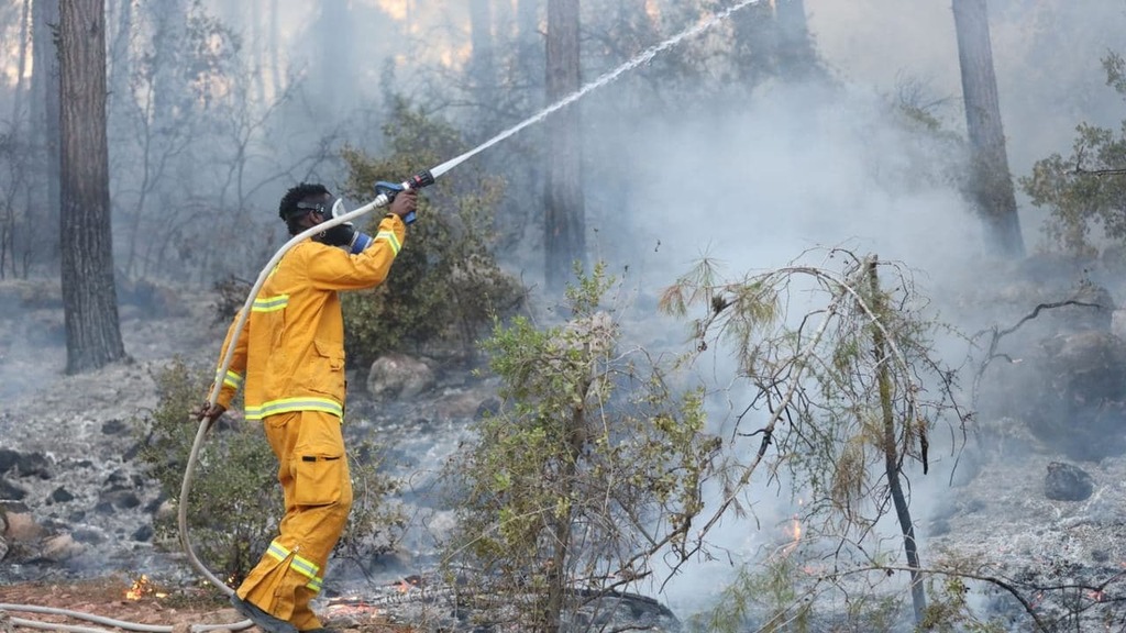 Firefighter battles remaining ambers in a Jerusalem area forest on Tuesday (Photo: Matanel Boshri) שריפה הרי ירושלים